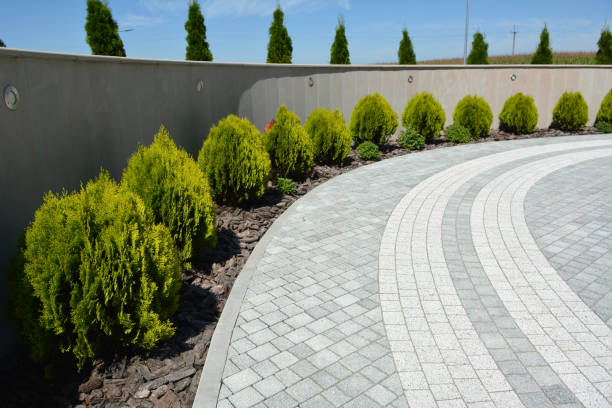 Best Best Driveway Pavers  in Sheridan, WY