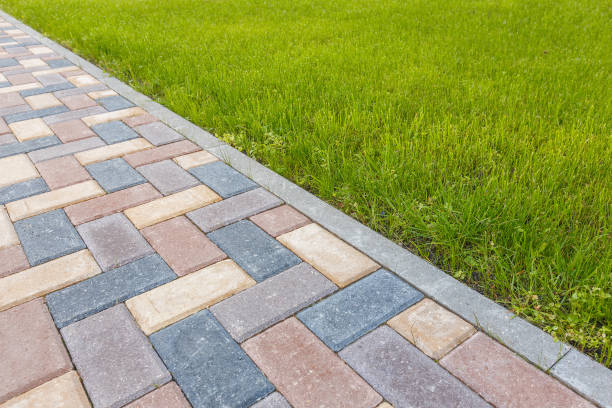 Best Driveway Paving Contractor  in Sheridan, WY
